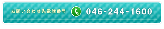 dbԍ:046-244-1600